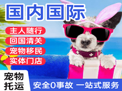 沧源佤山机场物流国际宠物托运 【国